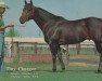 Deckhengst Tiny Charger (Quarter Horse, 1960, von Depth Charge xx)