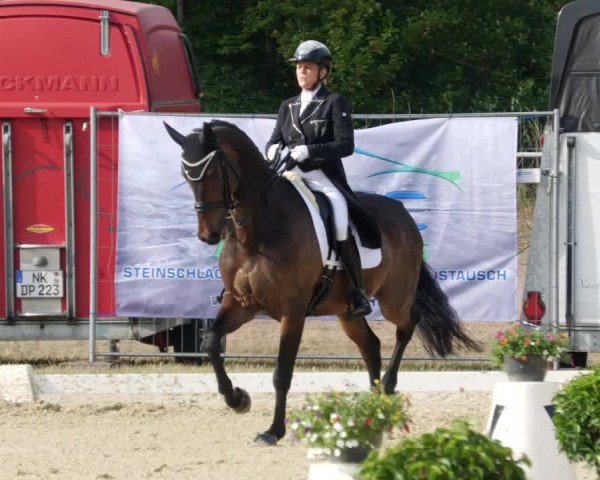 Reitturnier Heiligenwald 2023