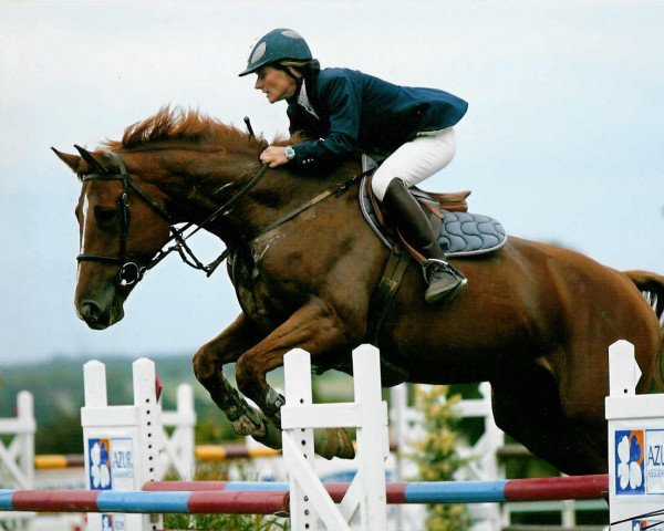 Zuchtstute L'Étoile de Rampan (Selle Français, 1999, von Lieu de Rampan)