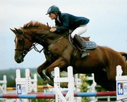 broodmare L'Étoile de Rampan (Selle Français, 1999, from Lieu de Rampan)