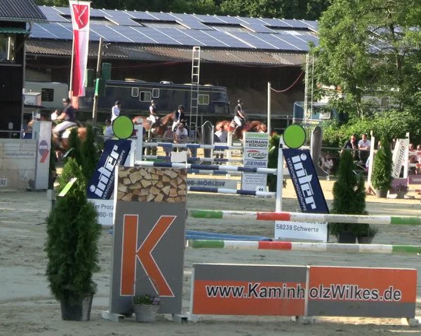 Reitturnier Schwerte 2023