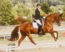 dressage horse Farbentanz 3 (Hanoverian, 2012, from Fuechtels Floriscount OLD)