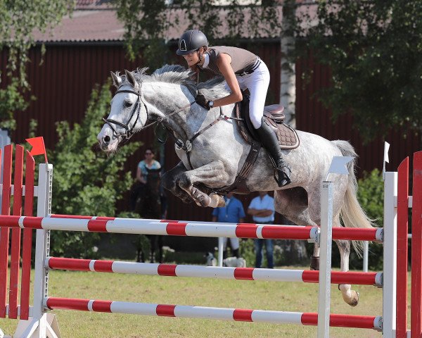 Shari Abele