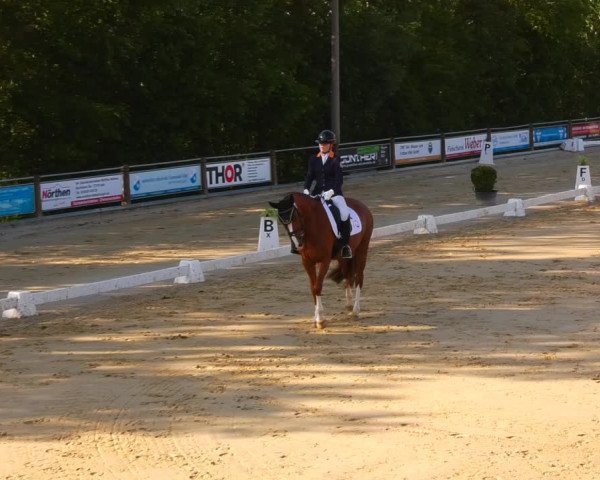 Reitturnier Uder, Reitanlage Kobold 2023