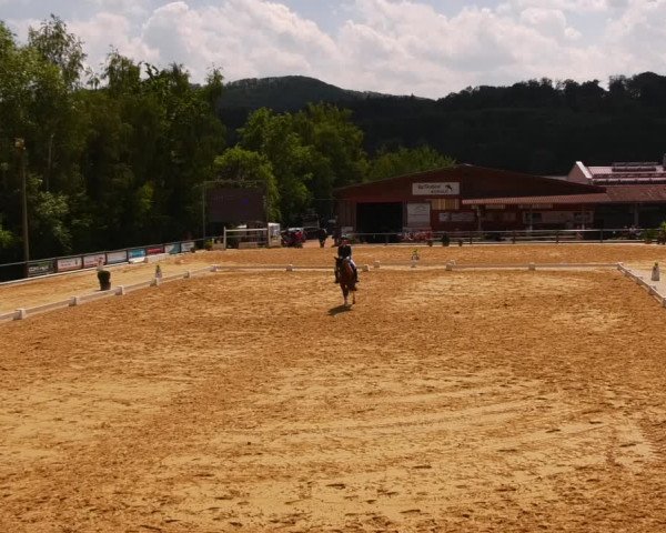 Reitturnier Uder, Reitanlage Kobold 2023