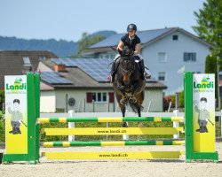 jumper Nalexa (KWPN (Royal Dutch Sporthorse), 2018, from Glasgow van het Merelsnest)