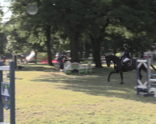 Reitturnier Schwittersdorf-Beesenstedt 2023