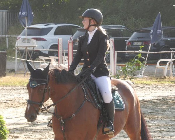 Reitturnier Heiligenwald 2023