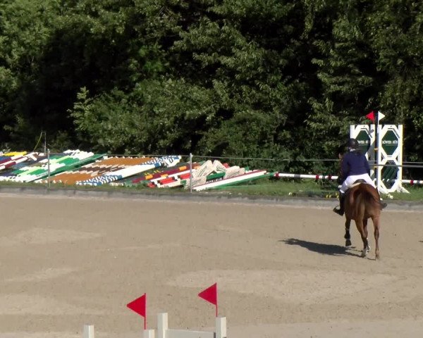 Reitturnier Maienfeld 2023