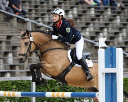 Springpferd Cierow (Deutsches Reitpony, 2005, von FS Champion de Luxe)