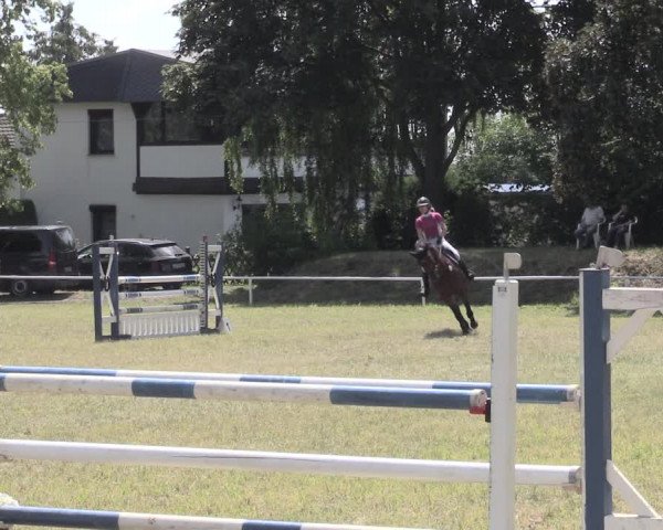 Reitturnier Schwittersdorf-Beesenstedt 2023