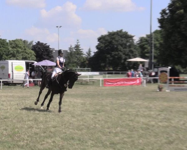 Reitturnier Schwittersdorf-Beesenstedt 2023