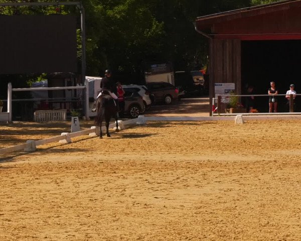Reitturnier Uder, Reitanlage Kobold 2023