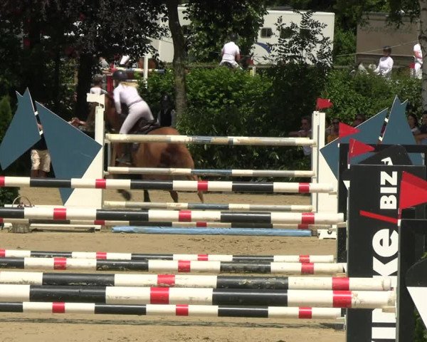 Reitturnier Schwerte 2023