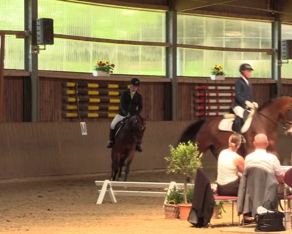 Reitturnier Schwerte 2023