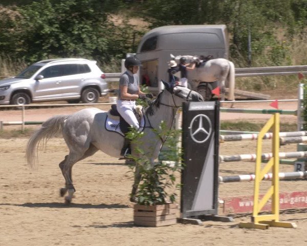 Reitturnier Heiligenwald 2023
