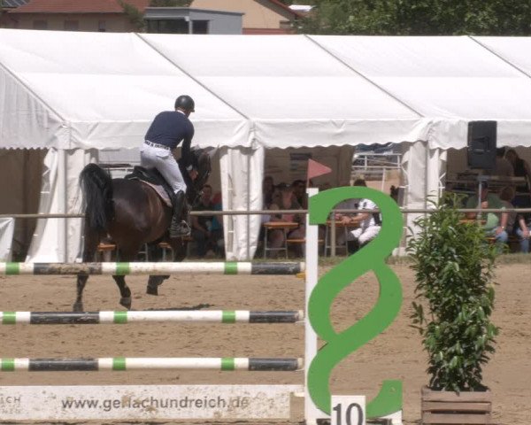 Reitturnier Heiligenwald 2023