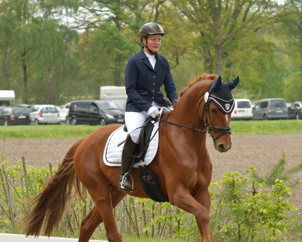 dressage horse Findus Royal (Hanoverian, 2017, from For Romance I)