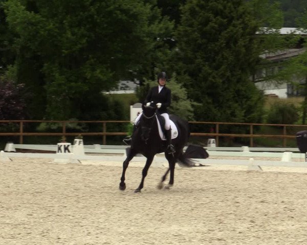 Reitturnier St. Ulrich am Pillersee 2023