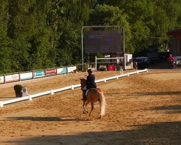 Reitturnier Uder, Reitanlage Kobold 2023
