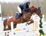 jumper Kalia vom Burgdamm (Hanoverian, 2016, from Kannan)