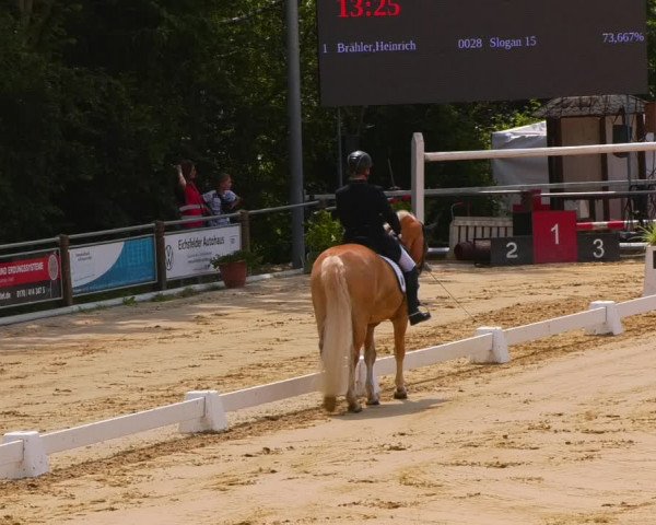 Reitturnier Uder, Reitanlage Kobold 2023