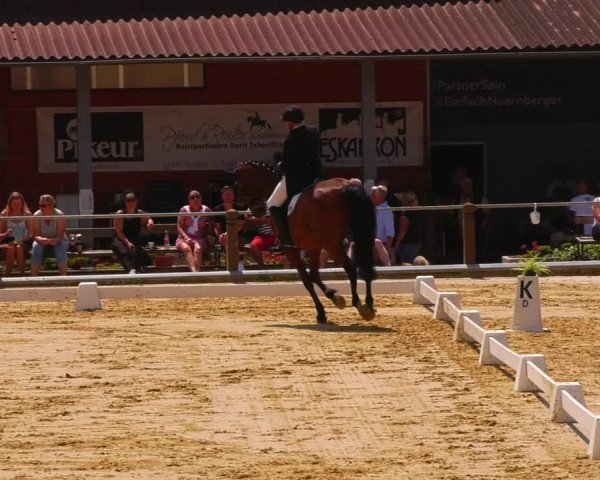 Reitturnier Uder, Reitanlage Kobold 2023