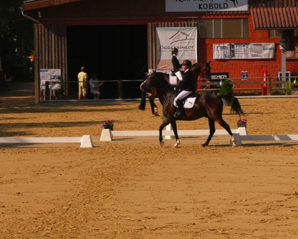 Reitturnier Uder, Reitanlage Kobold 2023