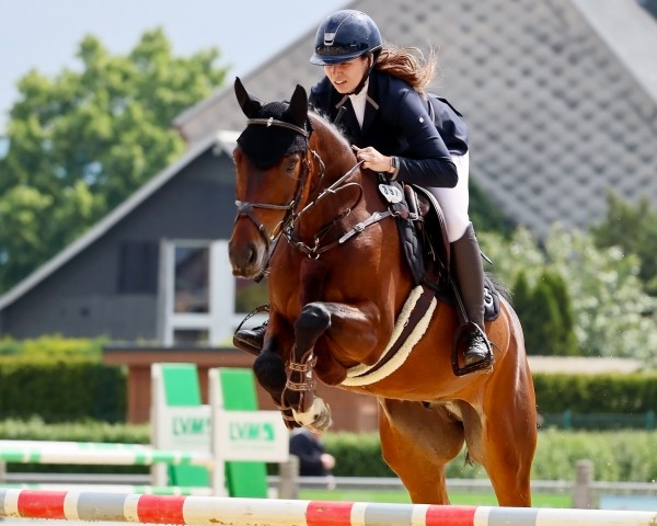 jumper Kantorio de La Pomme (German Sport Horse, 2018, from Kasanova de La Pomme)