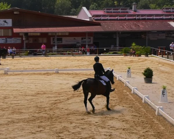 Reitturnier Uder, Reitanlage Kobold 2023