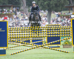 jumper Lugano van het Lindehof (Belgian Warmblood, 2011, from Darco)