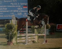 Dressurpferd Failshofer Graceful Harmony (Deutsches Reitpony, 2015, von Dreidimensional AT NRW)