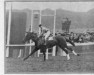 stallion Nid Dor xx (Thoroughbred, 1922, from Faucheur xx)