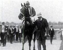 broodmare Florence Nightingale xx (Thoroughbred, 1922, from Man o' War xx)