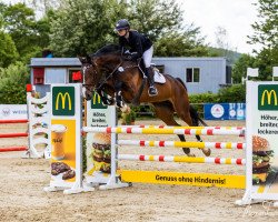 jumper Mariposa G (KWPN (Royal Dutch Sporthorse), 2017, from Grandorado TN)