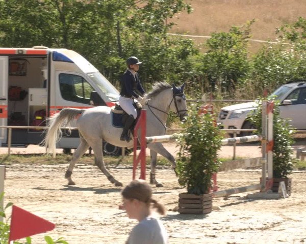 Reitturnier Heiligenwald 2023