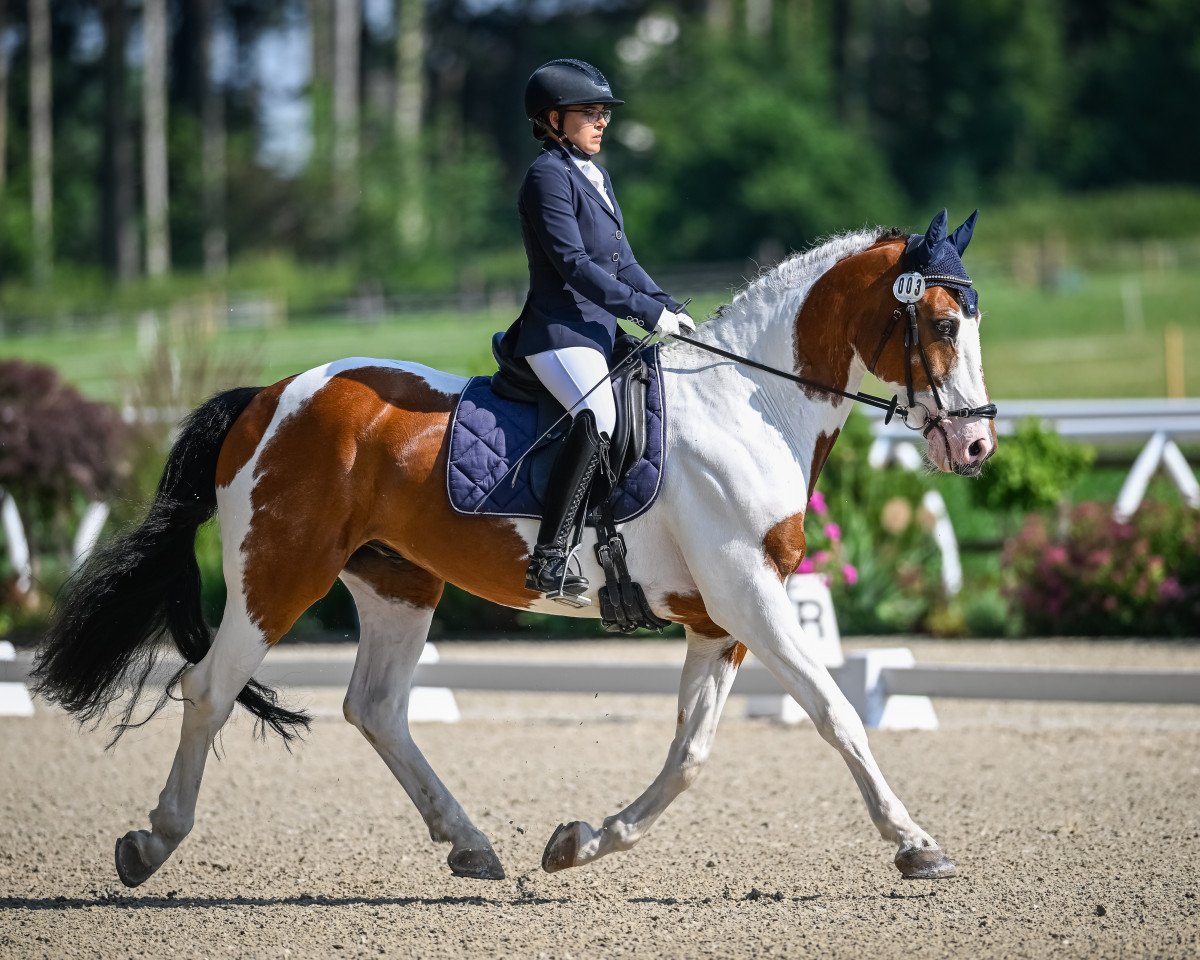 dressage horse Blue Eyed Jack (Irish Sport Horse, 2007)