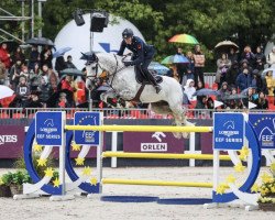 jumper Highlight W (KWPN (Royal Dutch Sporthorse), 2012, from Berlin)