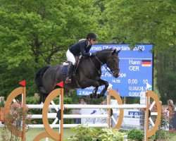 jumper Clarice 10 (Hanoverian, 2015, from Contendro I)