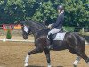 dressage horse Finest Royal S (Hanoverian, 2015, from Finest)