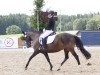 broodmare Diana 1123 (German Riding Pony, 2007, from Der feine Lord AT)