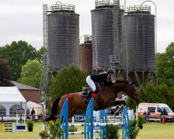 jumper Gem of Dreams (Hanoverian, 2013, from Gem of India)