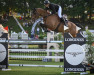 jumper Dion van de Oldenhoff (KWPN (Royal Dutch Sporthorse), 2008, from Dulf van den Bisschop)