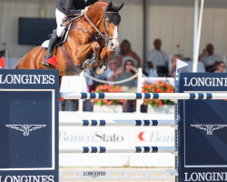 jumper Jaap vd Bisschop (Belgian Warmblood, 2009, from Ogano Sitte)