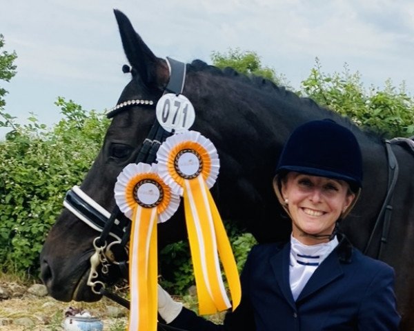 dressage horse Dantino W (Oldenburg, 2016, from Dante Weltino Old)