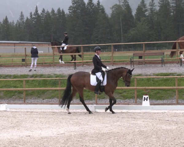 Reitturnier St. Ulrich am Pillersee 2023
