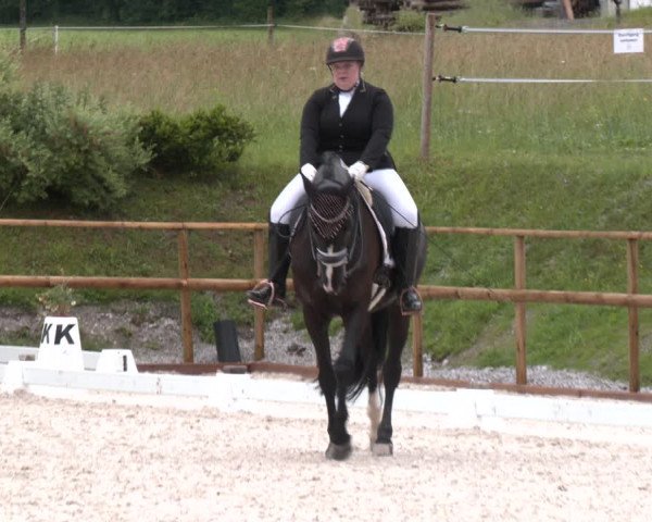 Reitturnier St. Ulrich am Pillersee 2023