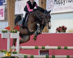 jumper Jay (German Sport Horse, 2015, from C-Mocca D'Or)