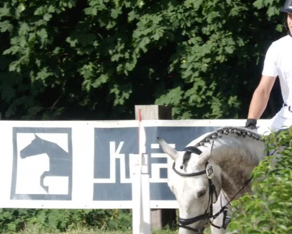 Reitturnier Walldorf/Winterheck PSG 2023
