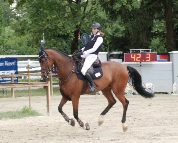 Reitturnier Walldorf/Winterheck PSG 2023